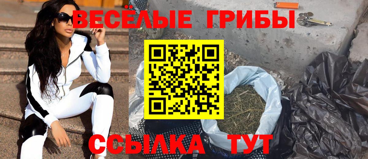 Псилоцибиновые грибы Psilocybe  где найти наркотики  Кудымкар  Вход с VPN 